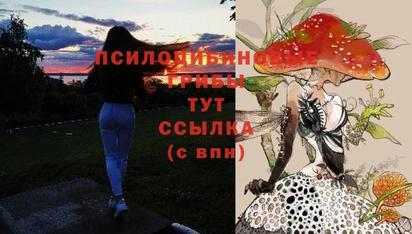 герыч Куйбышев