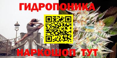MDMA Premium VHQ Свободный