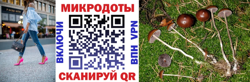 Псилоцибиновые грибы Psilocybine cubensis  наркота  MEGA как зайти  Раменское 