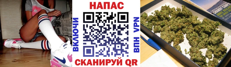 Бошки марихуана VHQ  хочу   Раменское 